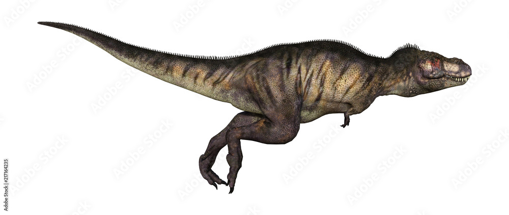 3D Illustration Dinosaur Tyrannosaurus on White 3D Illustration Dinosaur Tyrannosaurus on White