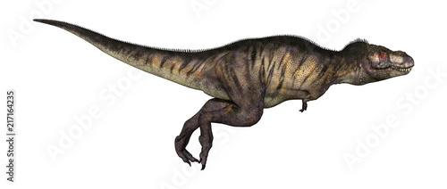 3D Illustration Dinosaur Tyrannosaurus on White © photosvac