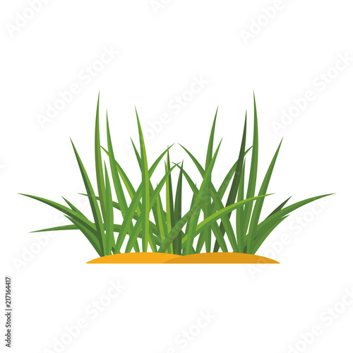 Bunches of green grass on an earthen mound. Design of summer cards. Flat cartoon illustration. Objects isolated on a white background.