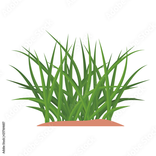 Bunches of green grass on an earthen mound. Design of summer cards. Flat cartoon illustration. Objects isolated on a white background.