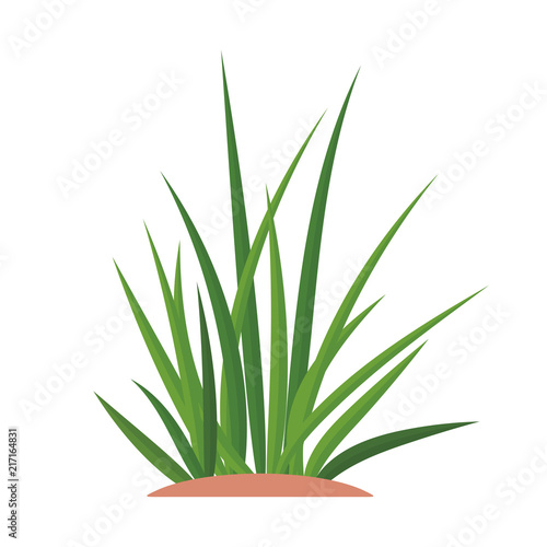 Bunches of green grass on an earthen mound. Design of summer cards. Flat cartoon illustration. Objects isolated on a white background.