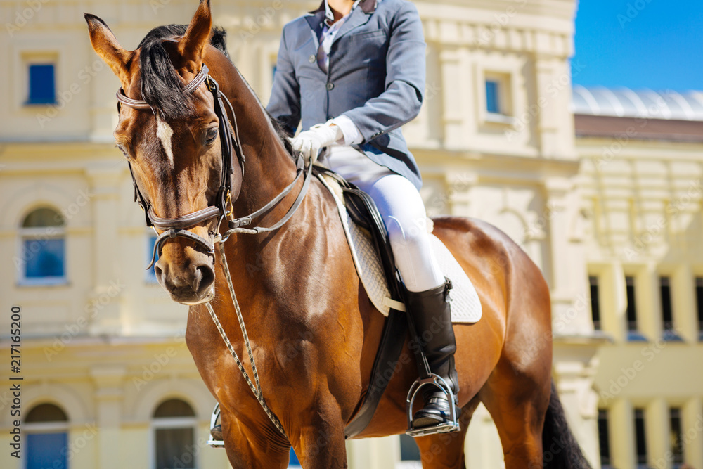 Favorite horse. Young but experienced equestrian wearing black riding boots riding his favorite horse