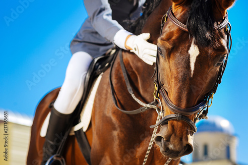 Obraz na płótnie Worried equestrian