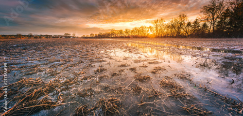 Frozen Soybean Farm Field at Sunset