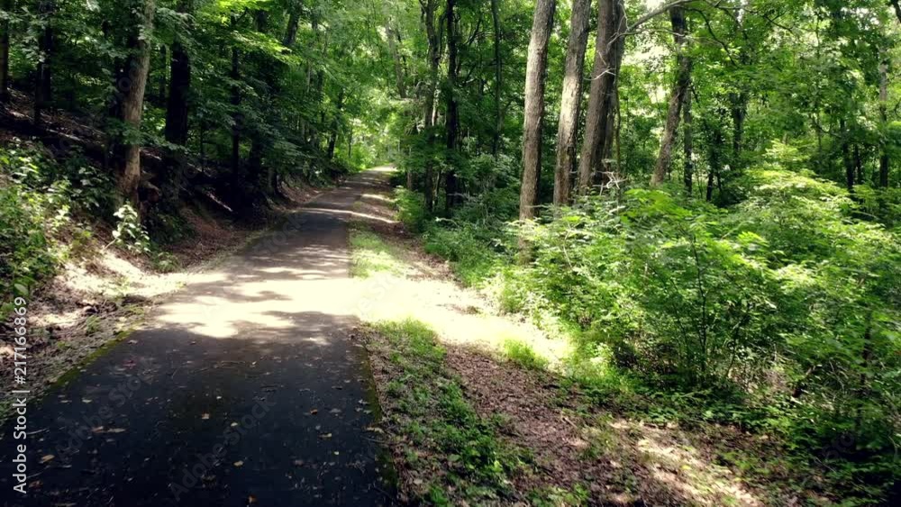 Forward shot of an uphill walkway in the woods. Forward shot of an uphill walkway in the woods.