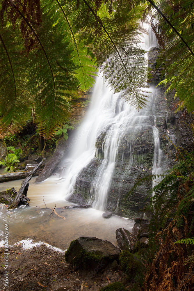 Fototapeta premium Henderson Falls Cape Otway