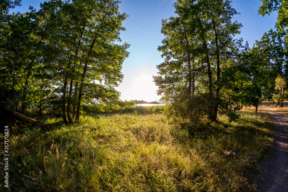 Beautiful sunset behind a forest in Sweden Beautiful sunset behind a forest in Sweden