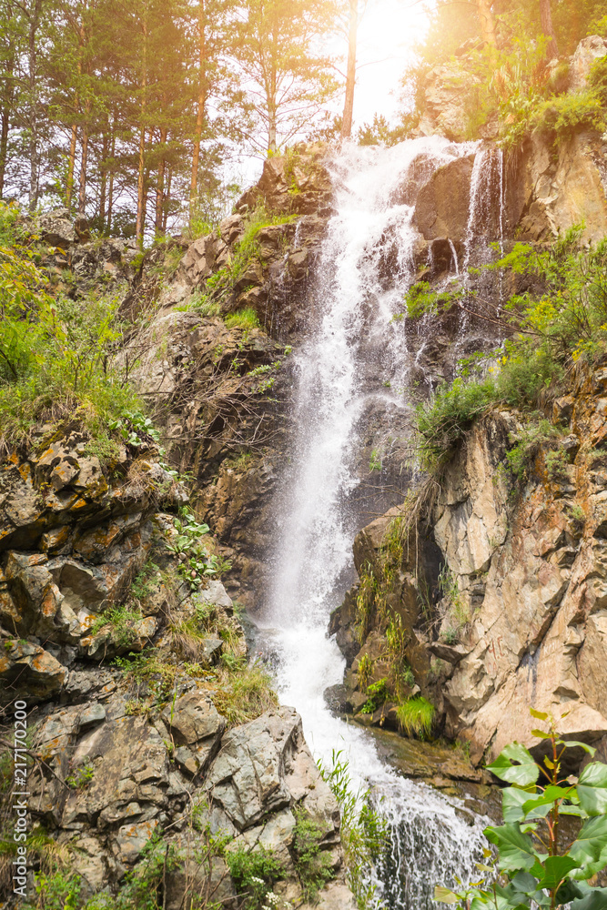Vertical view to a high waterfall in the mountains of the Altai with sprinkled drops of water through stones and rocks among green trees in the forest in sunny summer autumn weather with shining sun