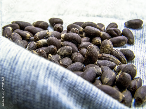 Cotton seeds in Brazil photo