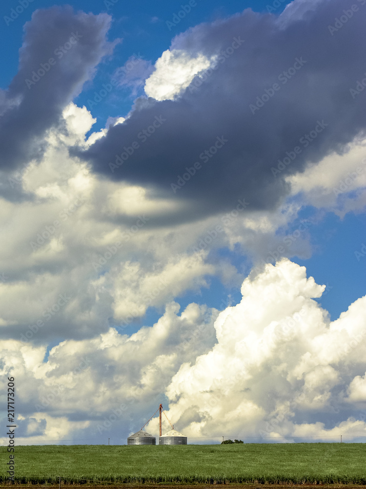 Silo and green corn field with many clouds in sky Silo and green corn field with many clouds in sky
