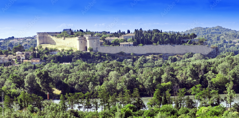 Fort Saint-André, view from Domgarten over the Rhone. Vaucluse, Provence, France, Europe.