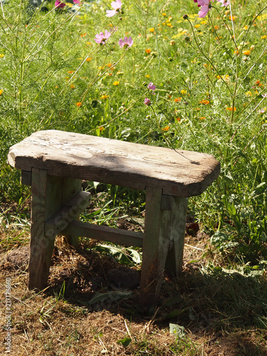 old wooden bench in a meadow with flowers in the village