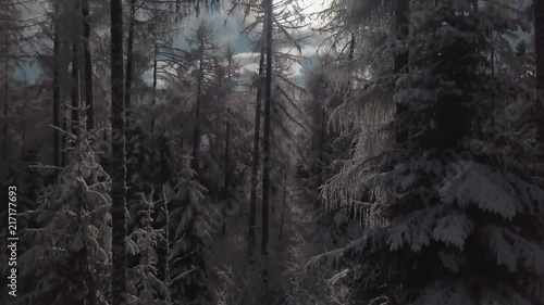 Cinematic Drone shot during Winter in Saviese, Valais Switzerland photo