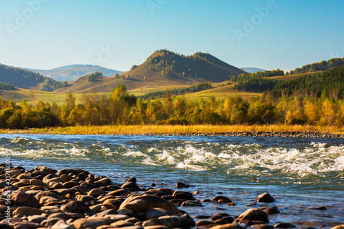 Fast mountain river with the purest water in Altay mountains, Siberia, Russia photo