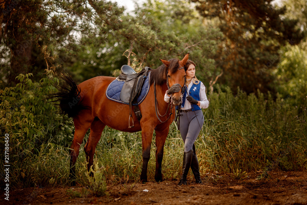 Young woman rider equestrian stands next to brown horse in forest. Young woman rider equestrian stands next to brown horse in forest.