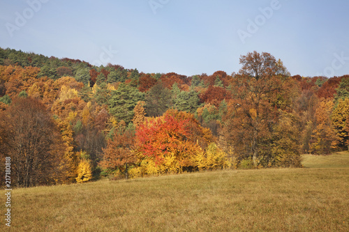 Landscape near Bojnice. Slovakia