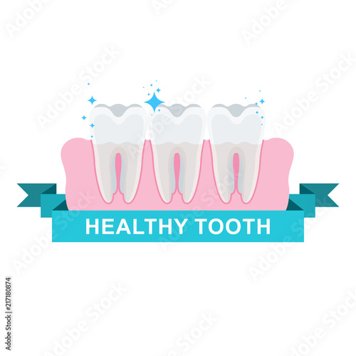 Healthy well-groomed teeth. Dentistry and oral care. Flat vector cartoon illustration. Objects isolated on white background.