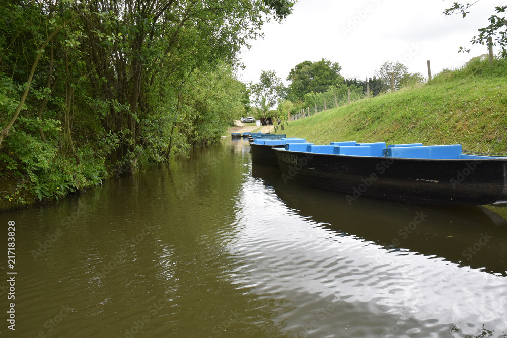 Promenade en barque sur les canaux du marais poitevin à Maillezais en Vendée.