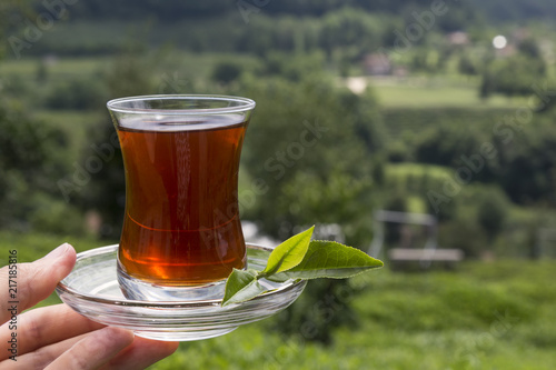 fresh tea sprouts and tea field in Rize from Turkey.A glass of tea on the green background for concept.