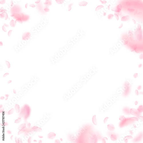 Sakura petals falling down. Romantic pink flowers vignette. Flying petals on white square background © Begin Again