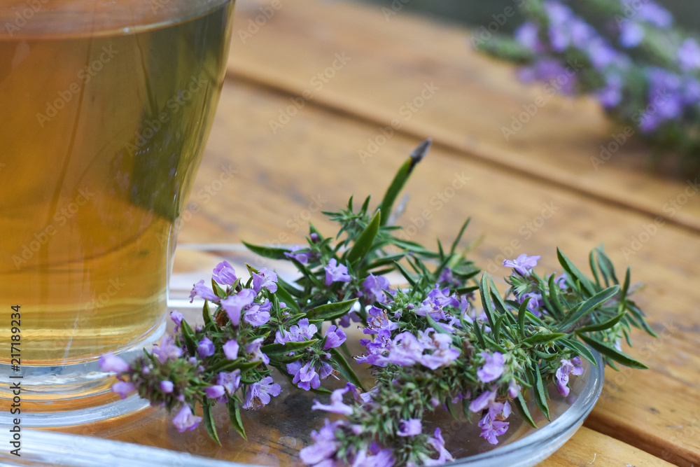 Cup of  fresh natural tea on wooden table.  Thymus serpyllum natural tea, Breckland Thyme  with cup of tea
