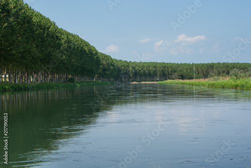 Gli alberi di pioppo costeggiano il canale d'acqua