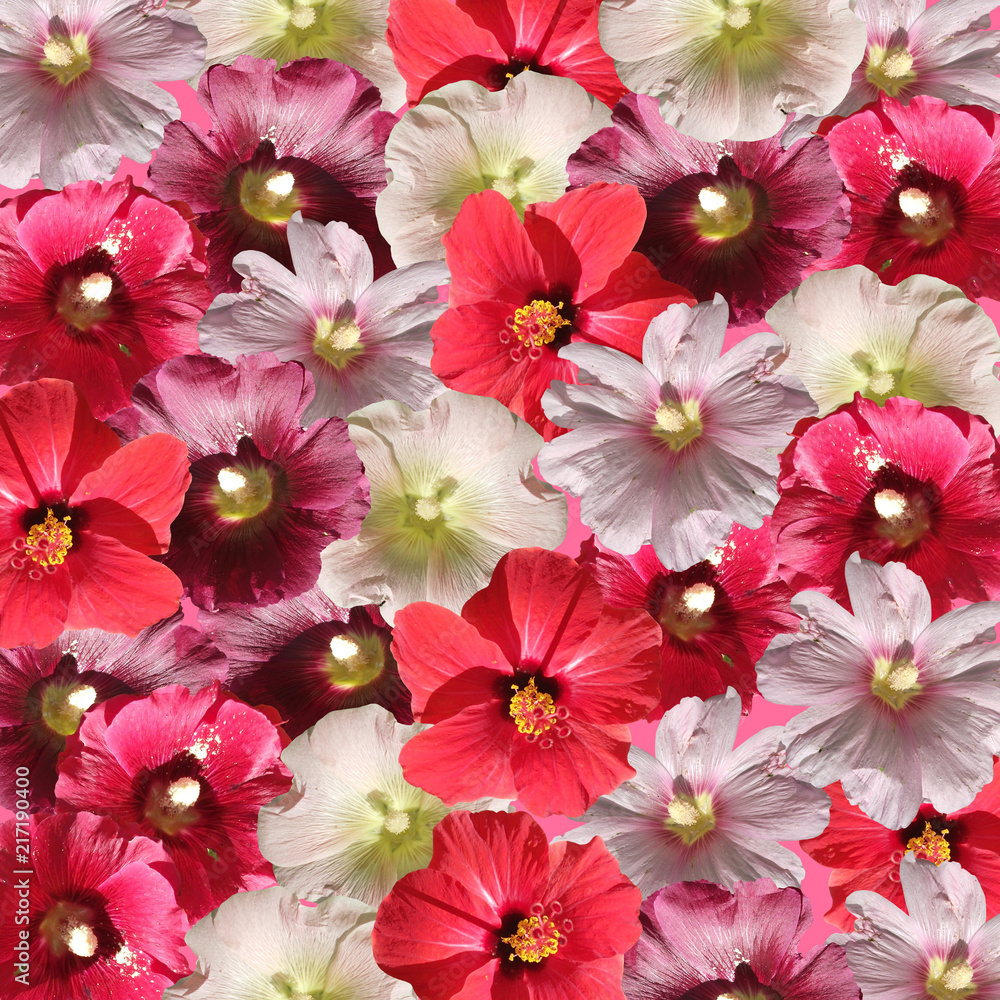 Beautiful floral background of hibiscus and mallow 