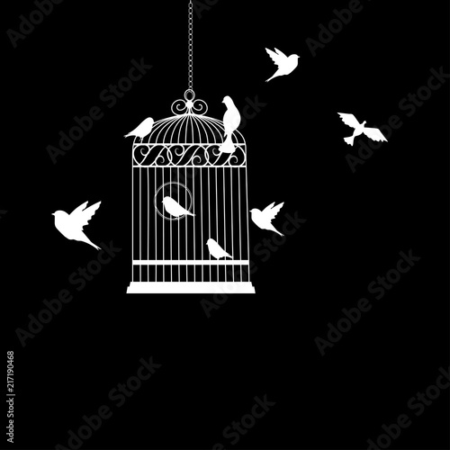 bird cage with birds flying vector illustration
