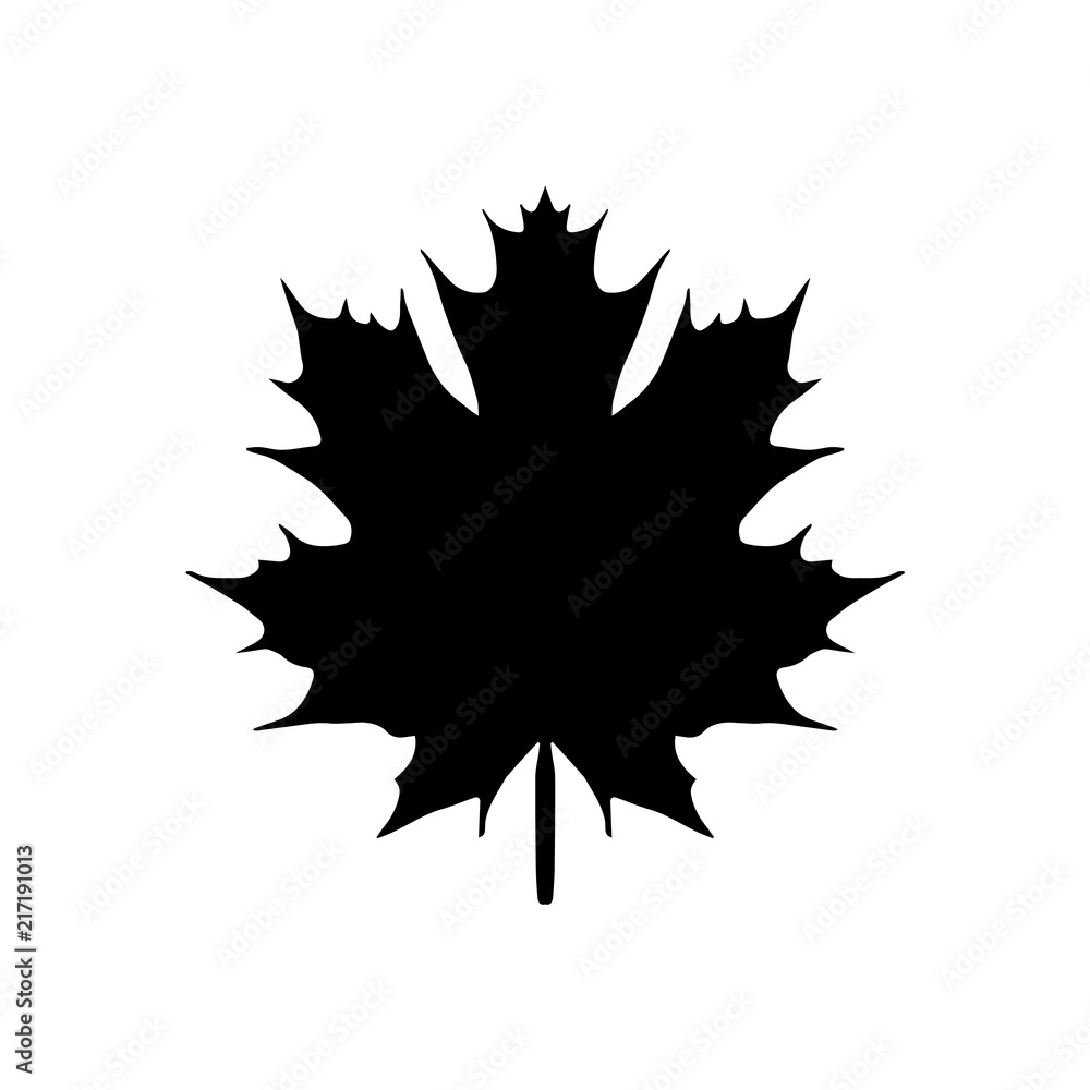 maple leaf. vector icon maple leaf. vector icon