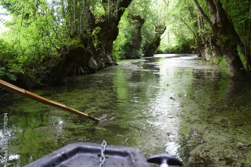 Promenade en barque sur les canaux du marais poitevin à Maillezais en Vendée. photo