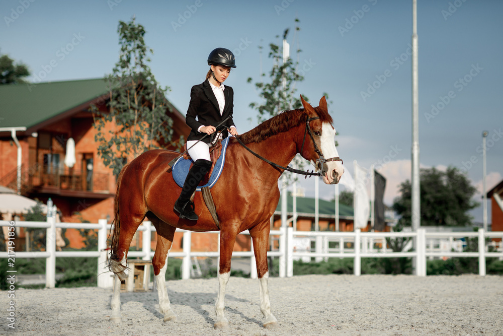 Rider elegant woman riding her horse outside Rider elegant woman riding her horse outside