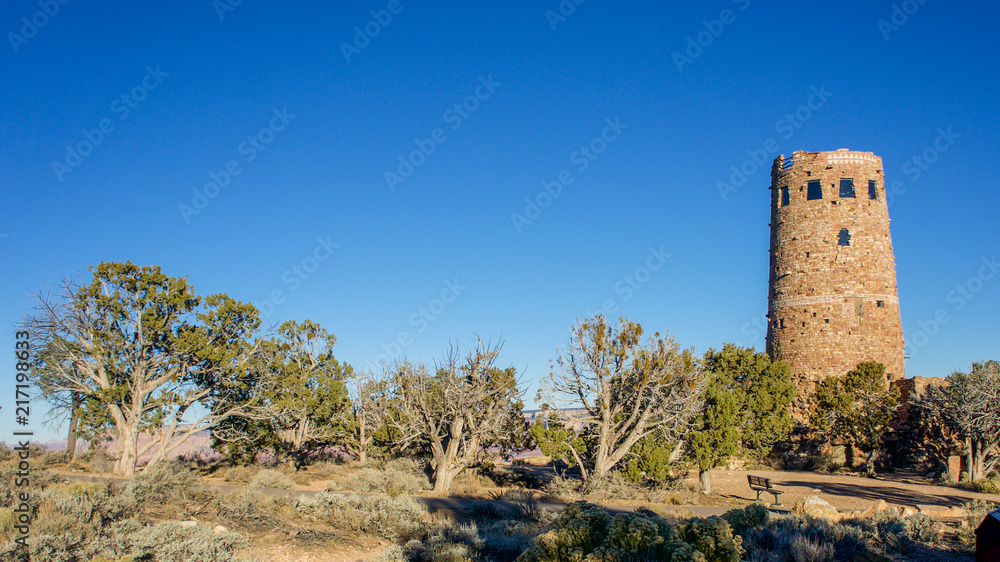 Watch Tower and Desert Trees