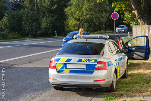 Police patrol control car on road