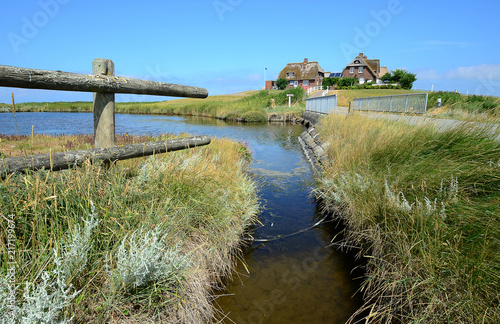 Westerwarft, Hallig, Hooge