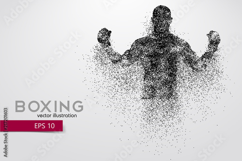 Boxing silhouette. Boxing. Vector illustration