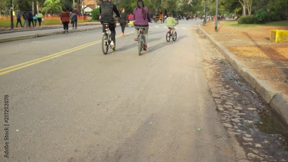 A family riding bikes in the park. A family riding bikes in the park.