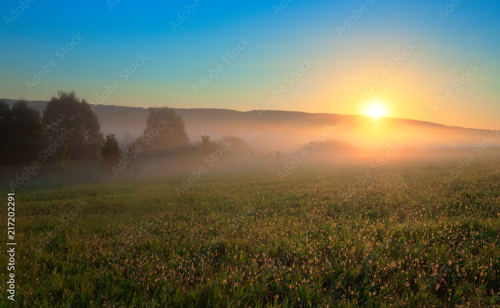 Fototapeta premium Sunny morning