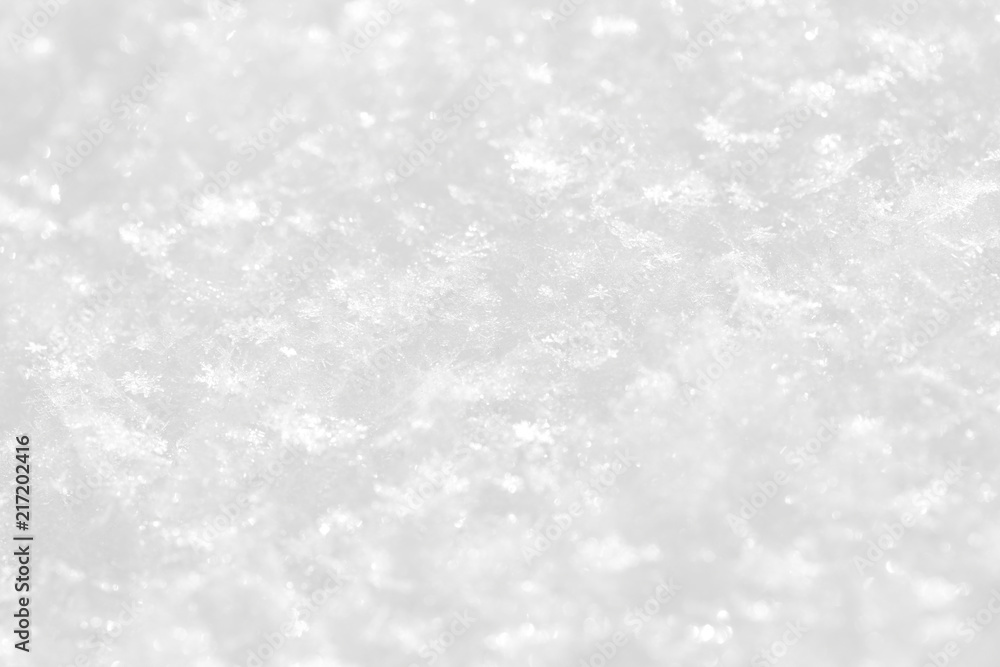 Shiny white background. A snow texture on a winter sunny day.
