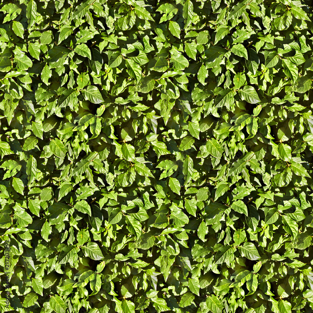 Seamless tileable leaves texture/background. Seamless tileable leaves texture/background.