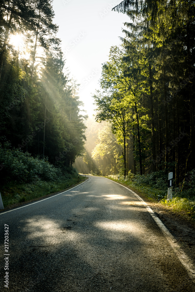 Fototapeta premium Sunrays in the tree with a asphalt road through the bavarian forest