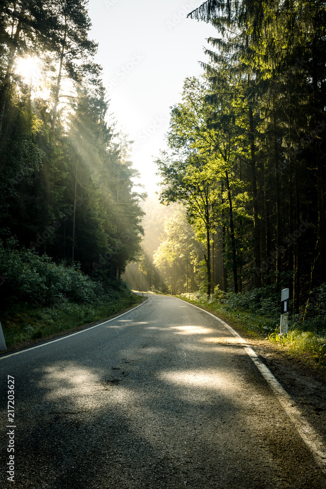 Sunrays in the tree with a asphalt road through the bavarian forest