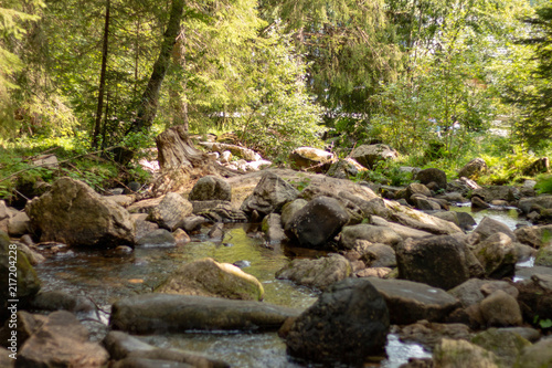 MENZENSCHWAND, GERMANY - JULY 23 2018: Waterfall in the German village Menzenschwand on a beautiful sunny summer day