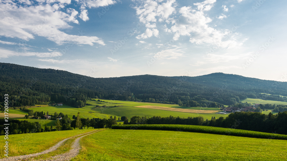 Field with a Path and Mountains with Trees in the background and Clouds on the sunny sky in the bavarian forest Field with a Path and Mountains with Trees in the background and Clouds on the sunny sky in the bavarian forest