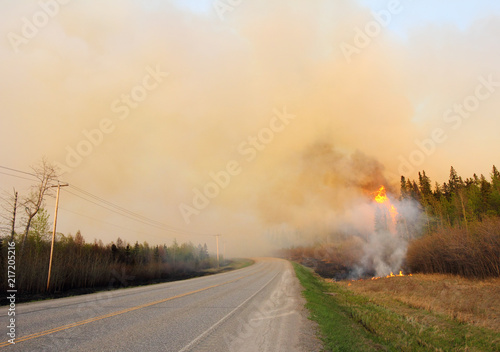 Burning wildfire along highway during dry summer season.