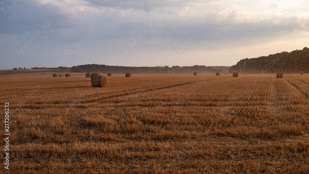 landscape scenery hay bales rain