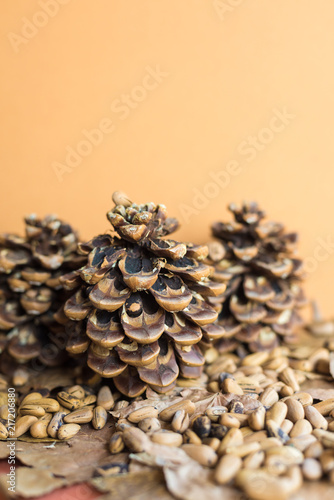 Closeup of an autumn background with pine cone, pine nuts on dried leaves