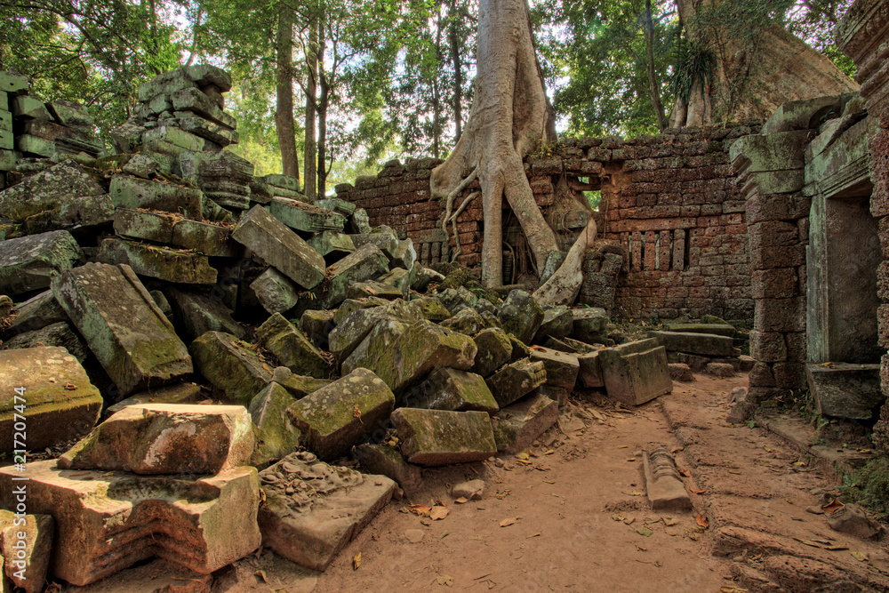 Ta Prohm Temple, Temples of Angkor, Cambodia