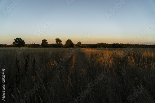 Graslandschaft im roten Dämmerlicht photo