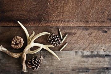 Papier peint photo Chasser Andouillers de cerf et cartouches rustiques  © Stephanie Frey