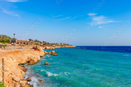 Fototapeta Naklejka Na Ścianę i Meble -  Sunny resort beach with palm tree at the coast shore of Red Sea in Sharm el Sheikh, Sinai, Egypt, Asia in summer hot. Bright sunny light